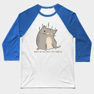 Wake Up and Smell the Tabbies (Gray Version) Baseball T-Shirt